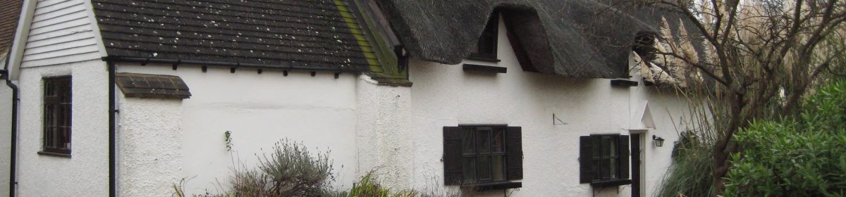 From life at the desk to living the dream