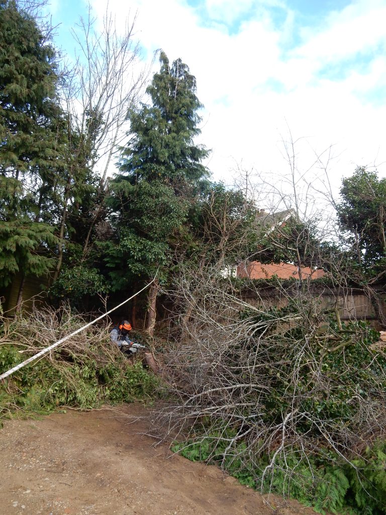 This image has an empty alt attribute; its file name is dscn5907.jpg